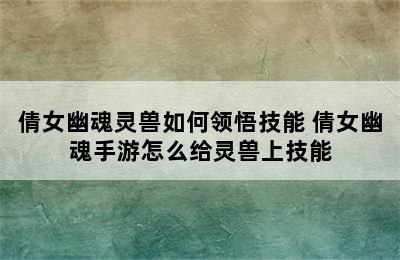 倩女幽魂灵兽如何领悟技能 倩女幽魂手游怎么给灵兽上技能